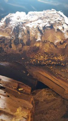 Subterranean Termites build colony under the soil. Damaged wood on the photos were retrieved from the garage.