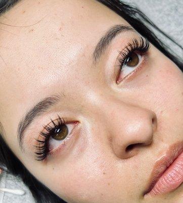 Lashes By Alon