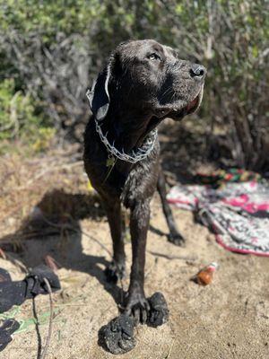 My baby at the lake