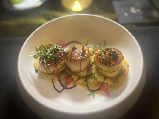 Scallops