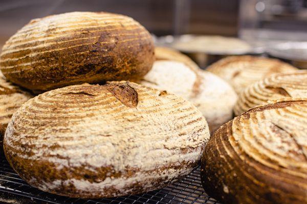 All of our breads are baked fresh each day. Honey sourdough.