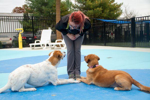 Our training creates a positive environment, free from punishment, for stress-free and pet-empowering learning.