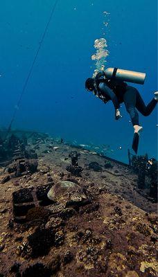 The Sea Tiger Wreck