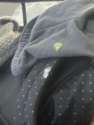 Gum stuck to my 1 year olds sweat pants and diaper bag.