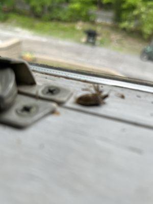 Inside kitchen window