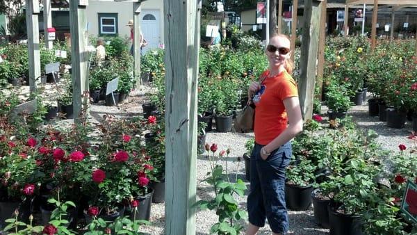 Here is the area where you can purchase the beautiful roses. Beautiful redhead not for sale.