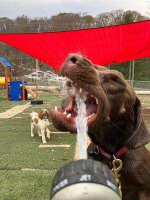 The water hose doesn't stand a chance in the play yard