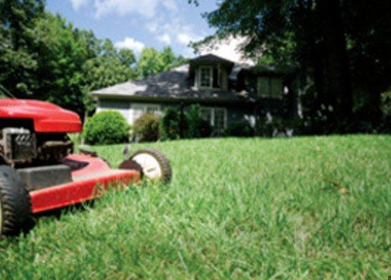 Kiles Lawncare Services