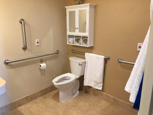 Private room bathroom