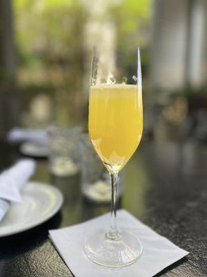 Mimosa