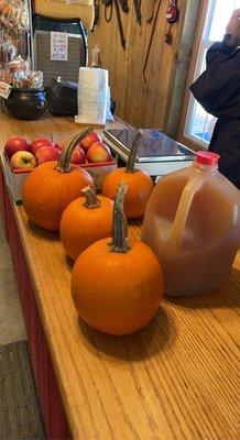 Our fall haul from Howard's Apples! Pie pumpkins to paint, apple cider, a box of apples, and apple cider slushees