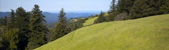 Portola Valley: Just driving into our beautiful community starts your healing process.