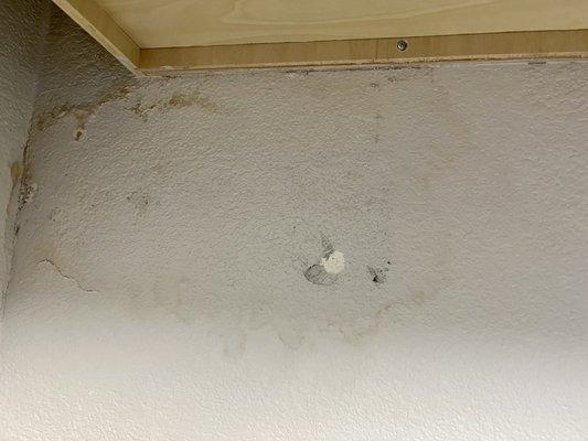 Mold and water damaged under kitchen cabinet