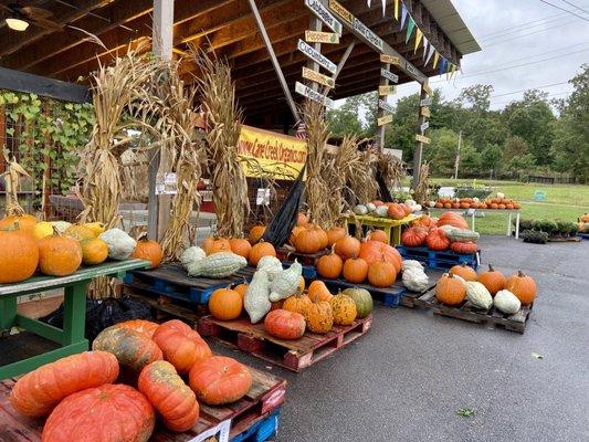 Cane Creek Farm