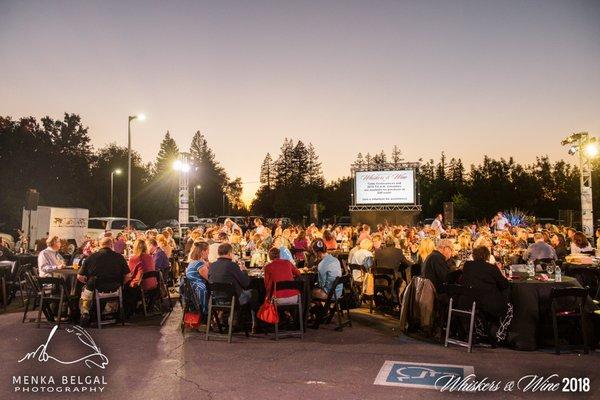 "Whiskers and Wine" annual fundraiser @ Bradshaw Animal Shelter - Event lighting and audio visual production.