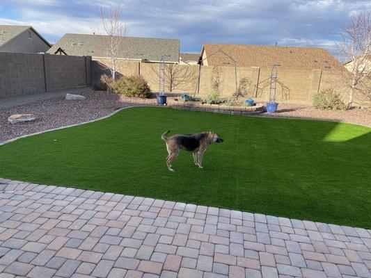 Her new turf, plants and boulders