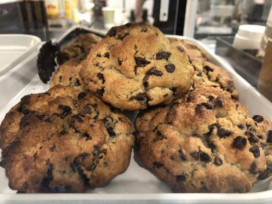 Chocolate chip cookies/scones. Delicious!!