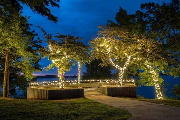 Tree wraps at Lake Lanier for and engagement.