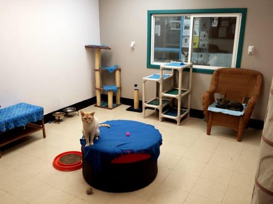 Tri-Cities Animal Shelter