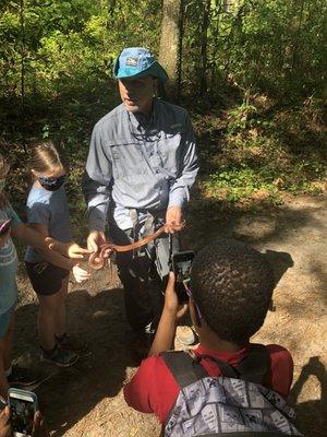 A corn snake we noticed on the side of the trail.