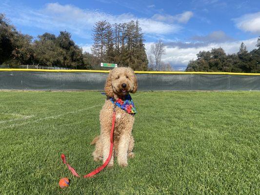 Brady enjoying the beautiful day!