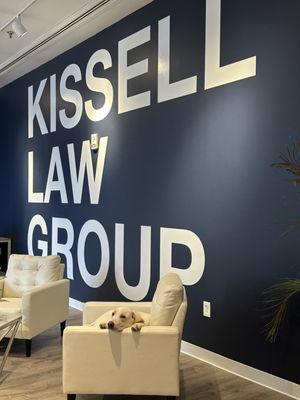 Kissell Law Group office dog Cappuccino!!!