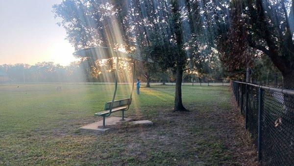 Dog park and a place to sit