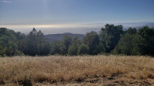 View from Oak Tree campsite.