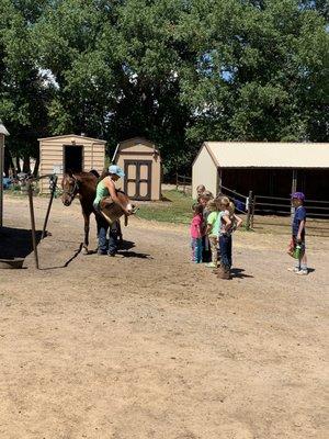 Kids learning how to put on a saddle