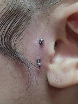 anti-tragus