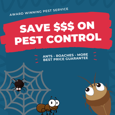 Save Loads On Your Pest Control