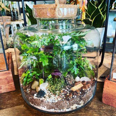 Custom terrarium