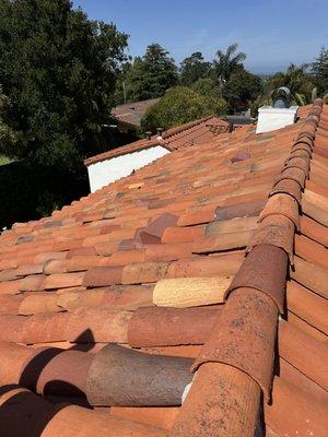 Roof Cleaning - After