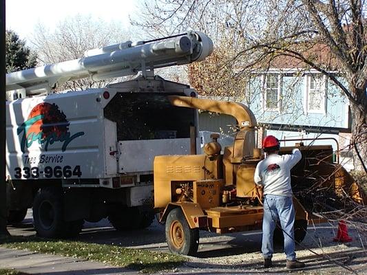 Torpy Tree Service