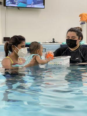 Swim lessons for babies and toddlers