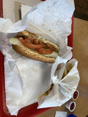 Chicago hot dog with fries