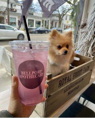 Lavender Lemonade with the pups!