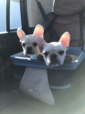 Hazel and Brother Elliot on their way to see Dr. Zamzow