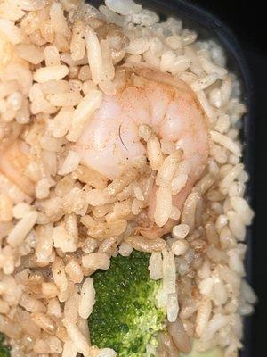 Shrimp Fried Rice