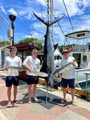 Mahi Mahi & Blue Marlin