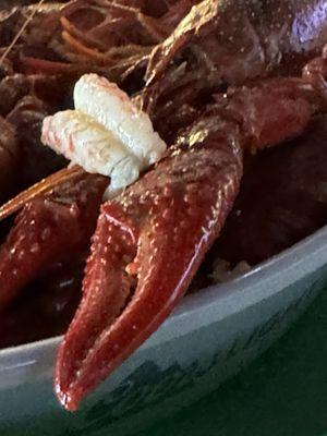 Boiled crawfish from lakeside on Burbank