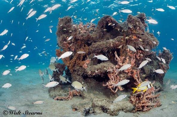 Underwater reefs