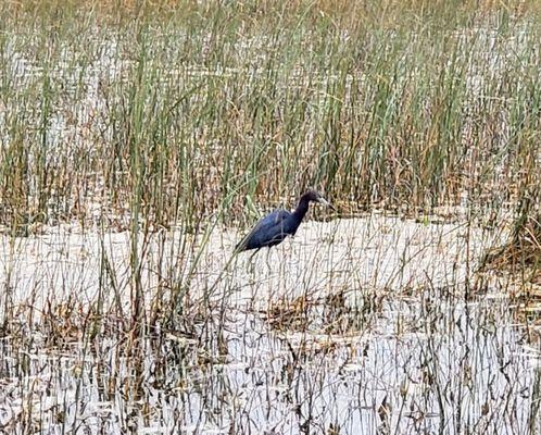 Everglades National Park