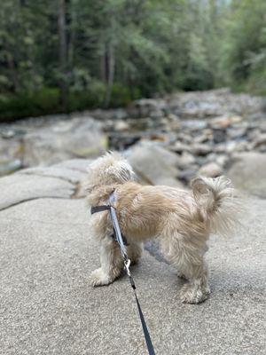 Denny Creek - Melakwa Lake