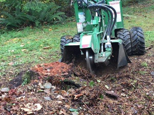 Large stump being removed