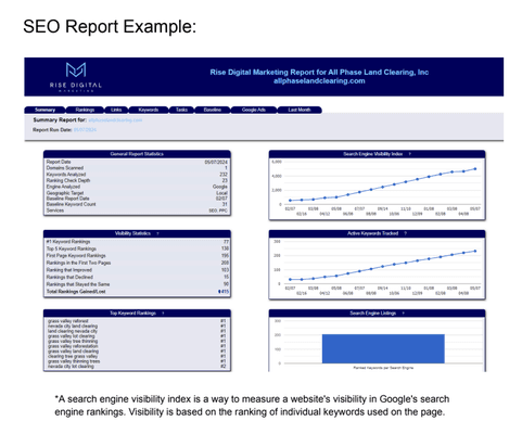 SEO reporting example. The dashboard our clients have access to so that they can monitor the campaign performance.