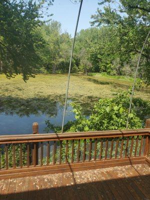 View of the pond