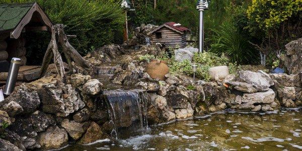 Keep your pond clean and serene with our pond maintenance services.