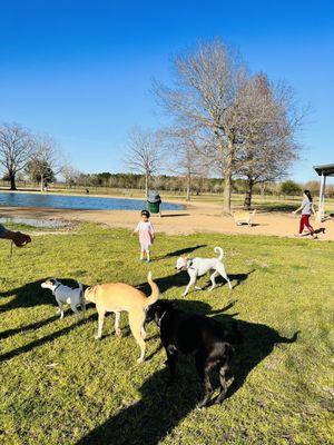 Millie Bush Dog Park