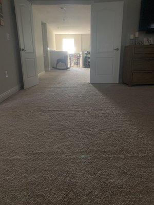 Carpet not stretched